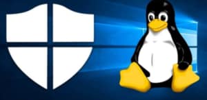 Microsoft alerta sobre malware dirigido a Windows y Linux